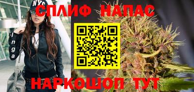 марихуана Будённовск