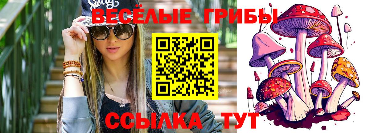Галлюциногенные грибы MAGIC MUSHROOMS  Псилоцибиновые грибы прущие грибы  Кудрово  Вход с VPN 