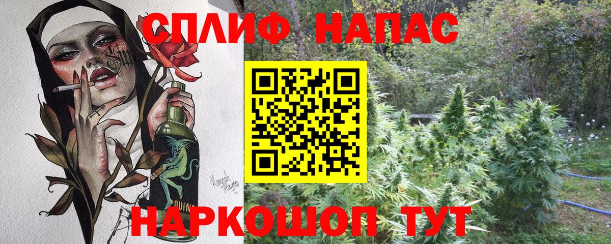 Каннабис конопля Кудрово